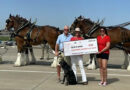 How Clydesdale horses support a non-profit for fallen soldiers, first responders