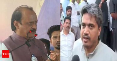 ‘Imagine if I had campaigned in your seat’: Ajit Pawar’s jibe at nephew Rohit | India News