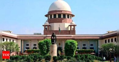 ‘Socialist’ and ‘secular’ to stay in Preamble, rules Supreme Court; junks PIL | India News