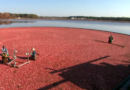 New Jersey farmers struggle amid stubborn drought conditions