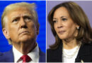 Trump and Harris Make Nice After Brutal Campaign Battle