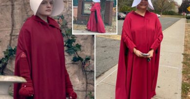 NJ mom dons eerie ‘Handmaid’s Tale’ costume to vote