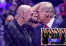 Dana White wants ‘nothing to do with politics’ after helping Trump win