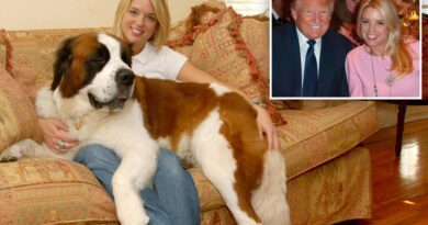 Trump AG nominee Pam Bondi’s long legal battle over beloved St. Bernard