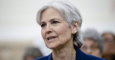 Jill Stein argues 'Democrats betrayed their base'