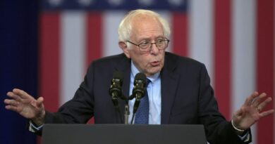 Sanders: Trump will announce he's won early: 'Everybody should be aware'