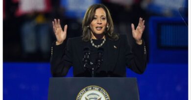 Harris delivers final pitch to voters at star-studded rally in Philadelphia