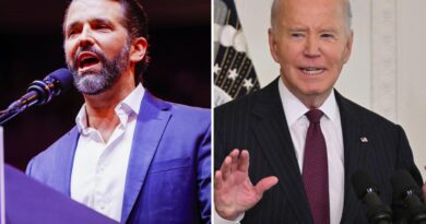 Donald Trump Jr. claims Biden administration is trying to start ‘World War 3’ ahead of Trump’s presidency