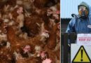 Bird flu: Health fears erupt after outbreak confirmed at Yorkshire poultry farm