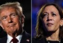 Trump-Harris loser to face political upheaval for party