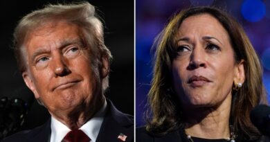 Trump-Harris loser to face political upheaval for party