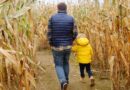 Corn mazes around the United States known for their intricate designs and unique challenges