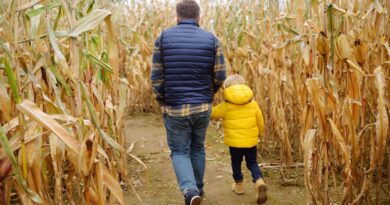 Corn mazes around the United States known for their intricate designs and unique challenges