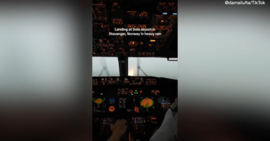 Flight attendant’s viral video shows pilots landing in heavy rainstorm