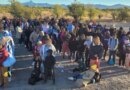 Massive groups of illegal immigrants nabbed at border amid fears of pre-Trump border surge