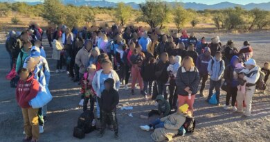 Massive groups of illegal immigrants nabbed at border amid fears of pre-Trump border surge