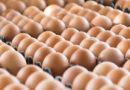 Eggs are getting scarcer and pricier ahead of the holidays. Here’s why.