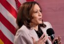 Former Biden aide slams Harris campaign for blaming media after loss