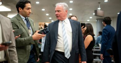 Senate Democrat defends Vindman against Musk's 'treason' threat