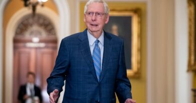 McConnell may play key role on Trump’s controversial Cabinet picks