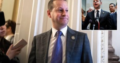 Dem Rep. Jared Moskowitz slams ‘dozens of members’ of his own party for antisemitism