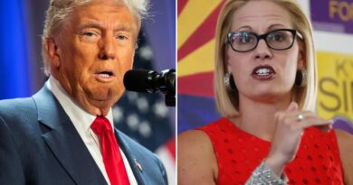 Sen. Kyrsten Sinema soaks in ‘schadenfreude’ after Dems begrudgingly admit filibuster will help them halt Trump agenda