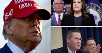 Trump picks complicate GOP House majority, could make government body even more chaotic: ‘Panic time’