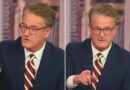 Joe Scarborough visibly shocked after finding out what the price of butter is