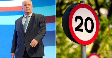 Andrew RT Davies: Welsh Conservative leader’s post on 20mph speed limit ‘brought Senedd into disrepute’ | UK News