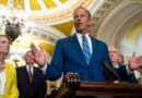 Thune urges Trump to stay out of race to replace McConnell