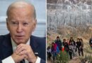 Appeals court halts Biden-Harris admin from removing razor-wire fencing along Texas border