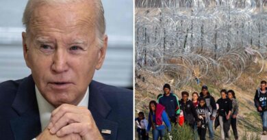 Appeals court halts Biden-Harris admin from removing razor-wire fencing along Texas border