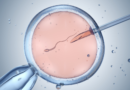 IVF treatments triple for single women in a decade as average age drops to record low