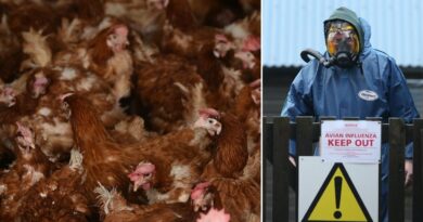 First case of H5N1 strain confirmed at British commercial poultry farm