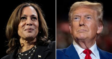 A sharply divided America decides between Trump and Harris