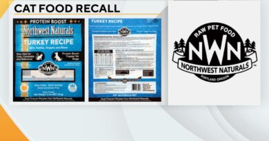 Popular cat food recalled after death linked to bird flu