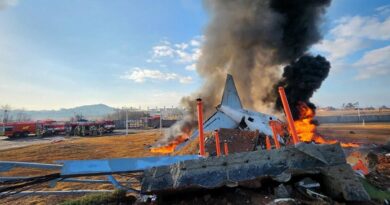 More than 2 dozen killed when passenger jet crashes while landing at South Korean airport