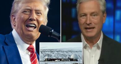 Denmark needs to forget dog sleds and come up with real defense for Greenland: ex-Trump nat’l security adviser