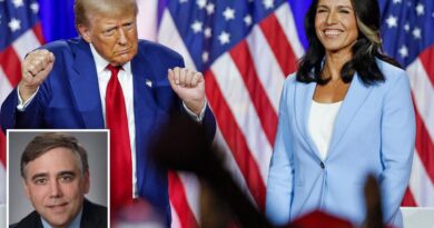 Ex-CIA counterterrorism chief backs DNI pickTulsi Gabbard to ‘restore faith’ in intelligence community