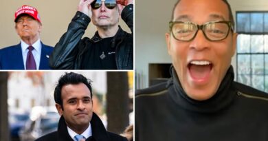 Don Lemon cackles maniacally in profane rant as he trashes MAGA supporters after visa feud with Elon Musk: ‘Dumb f–king idiots’