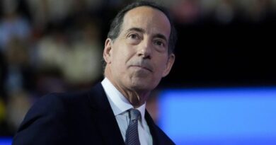 Raskin: Democrats in 'fight of our lives'