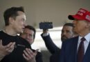 Musk's favorability similar to Trump's: Survey