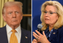 Trump: 'Liz Cheney could be in a lot of trouble'