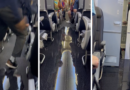 American Airlines passengers react as cabin floods with ‘disgusting’ liquid midflight