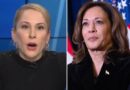 Ana Kasparian of ‘Young Turks’ explodes at possibility of Harris becoming California governor: ‘I’m gonna move!’