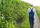 US agriculture primed to be next frontier in cybersecurity in new year, experts, lawmakers say