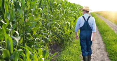 US agriculture primed to be next frontier in cybersecurity in new year, experts, lawmakers say