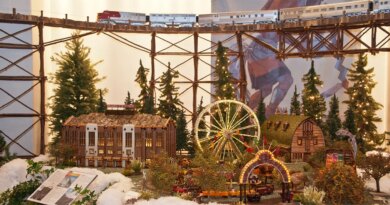 8 holiday train rides and toy train shows to enjoy amid the season’s travels