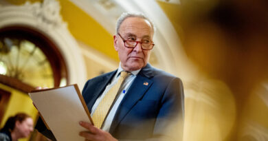 Schumer reelected Senate Democratic leader as GOP prepares to take control