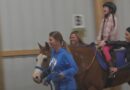 How horses are helping to heal people’s mental and physical health